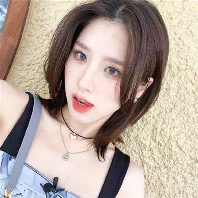 一只狗的大学时光